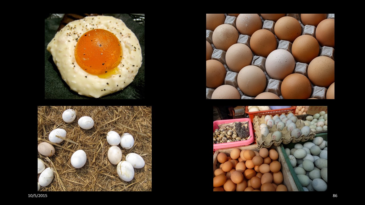 egg