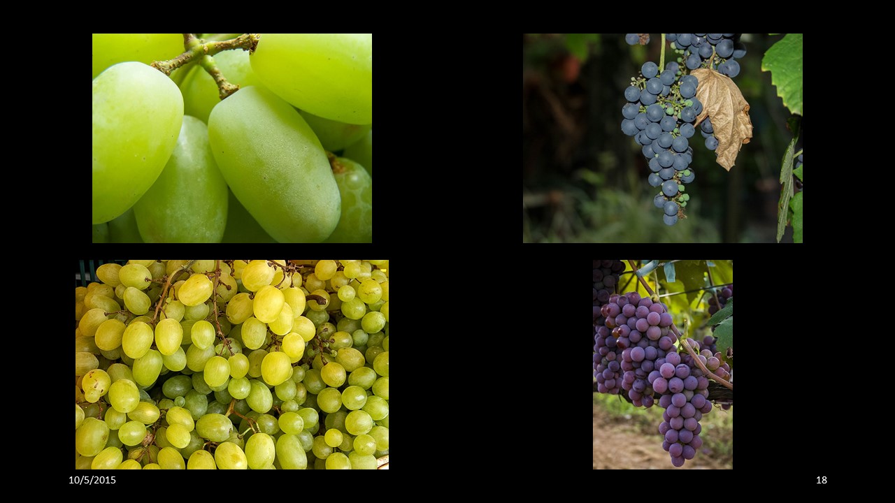 grapes