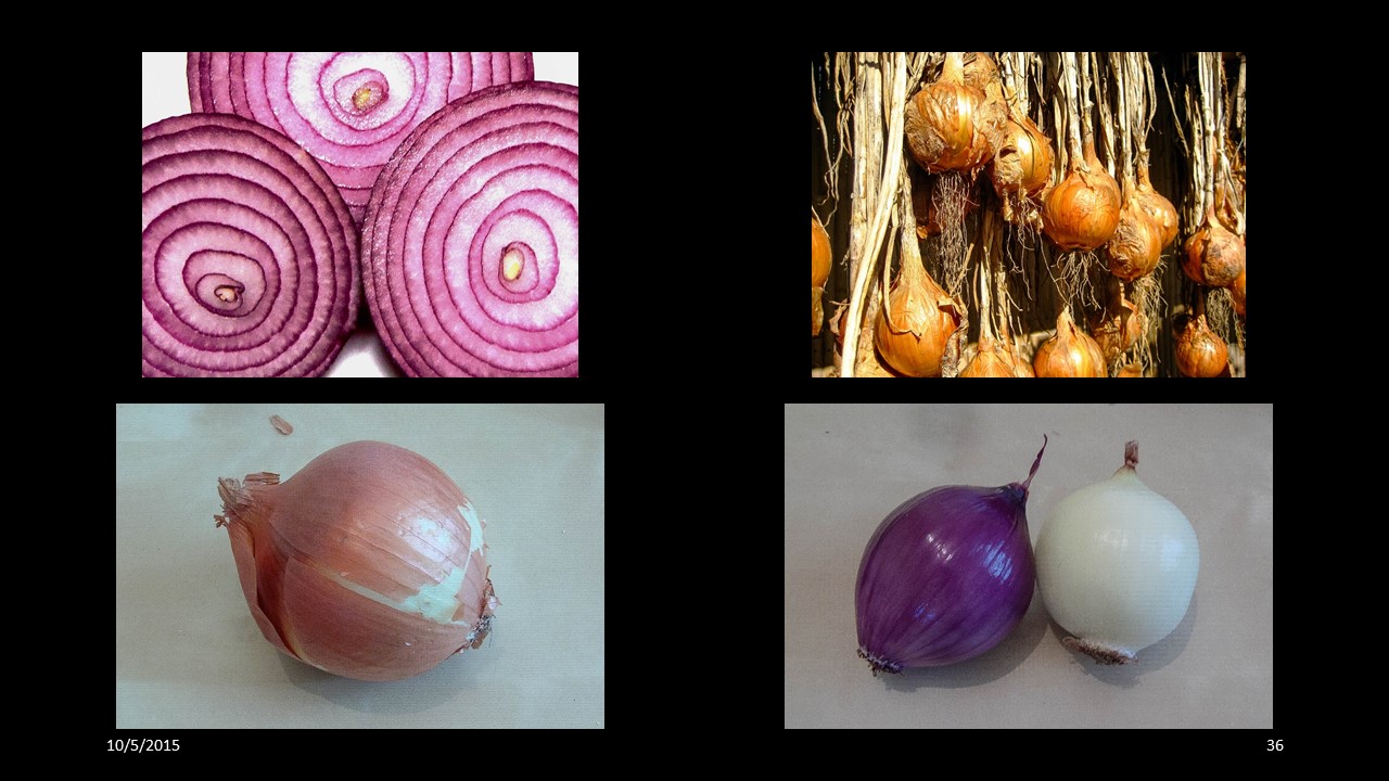 onion
