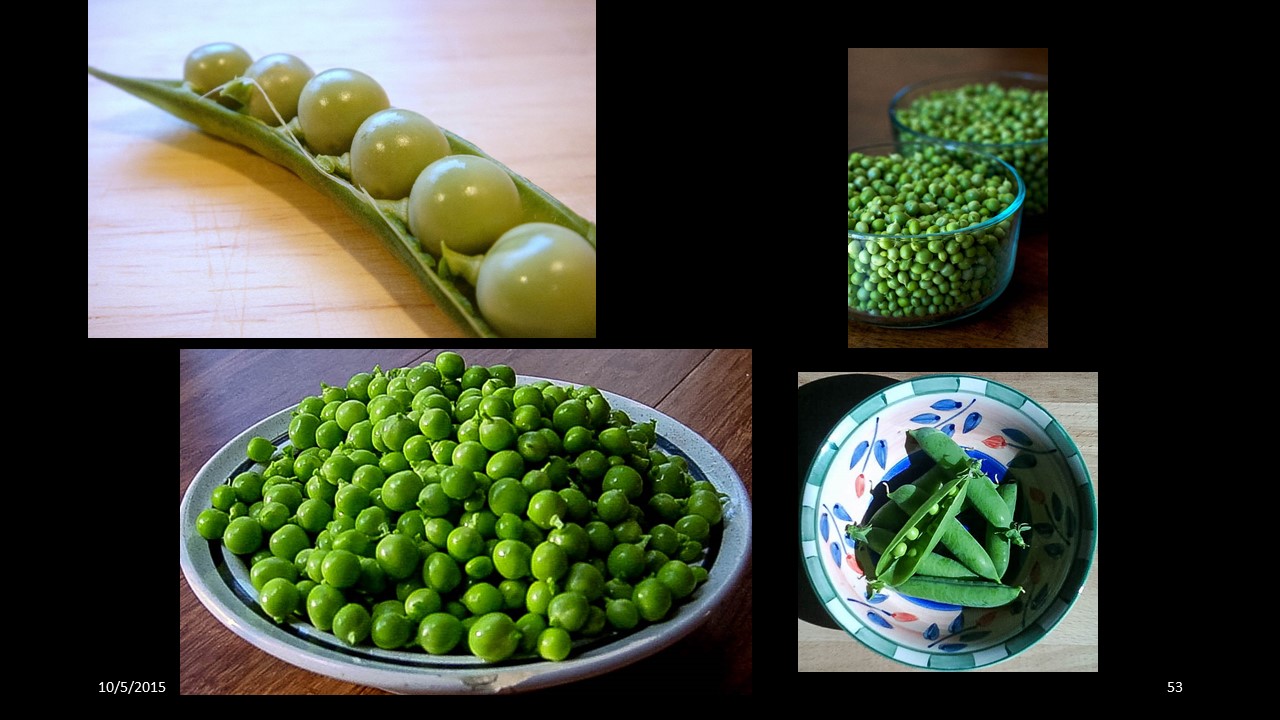 pea