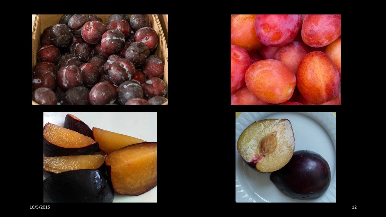 plum