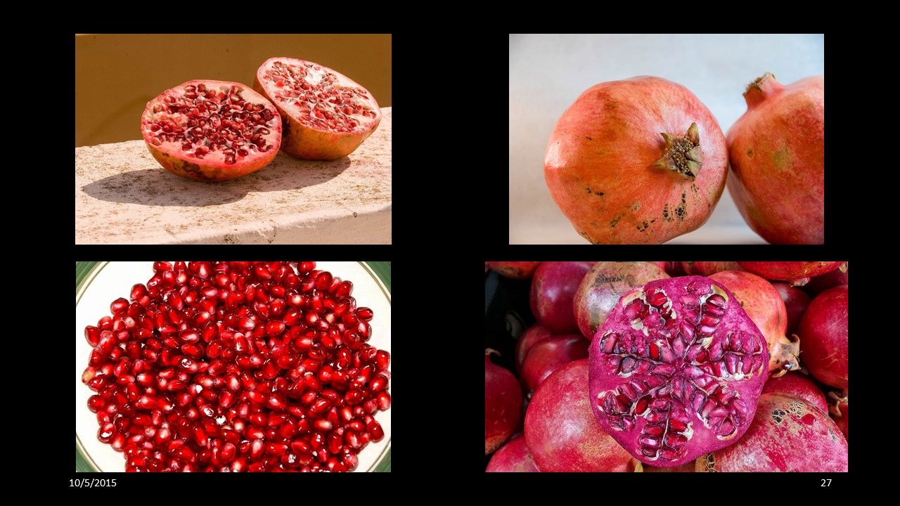 pomegranate
