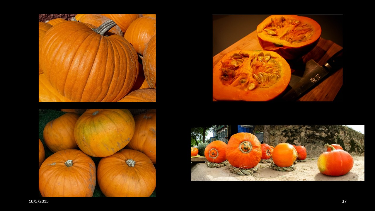 pumpkin