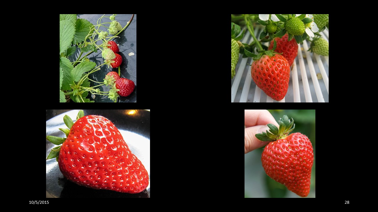 strawberry